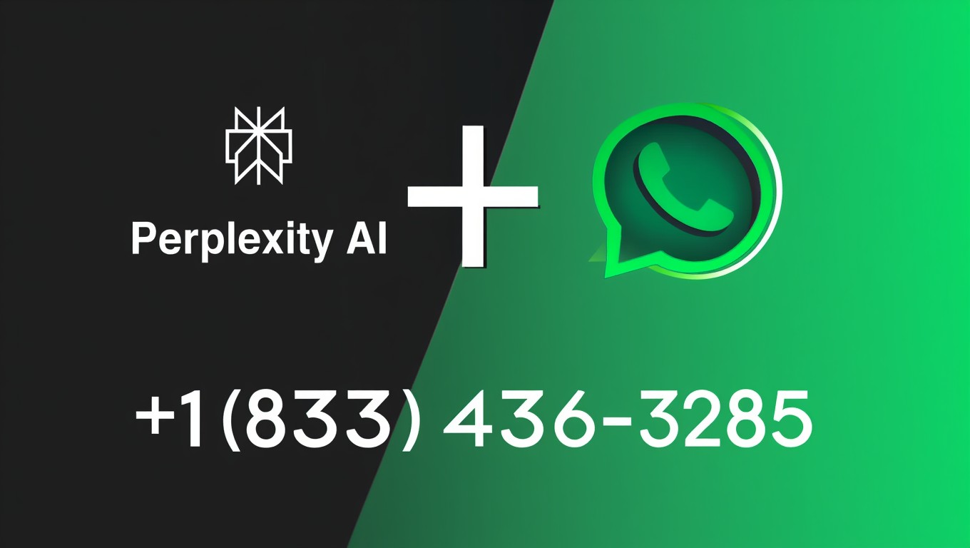 What is the Perplexity WhatsApp number